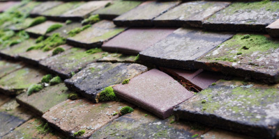 Offord Cluny roof repair costs
